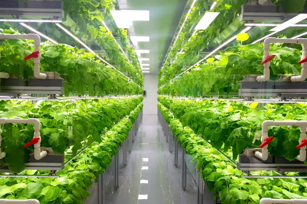 Urban Agriculture and Vertical Farming
