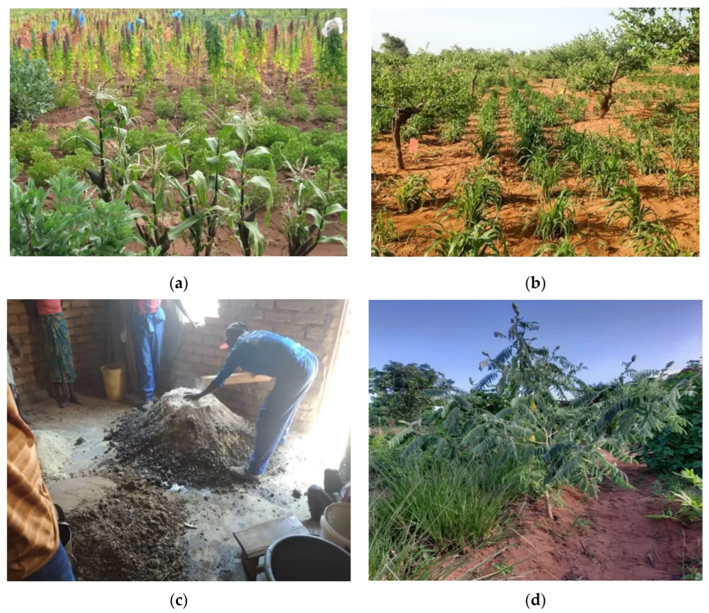 Agricultural Biodiversity