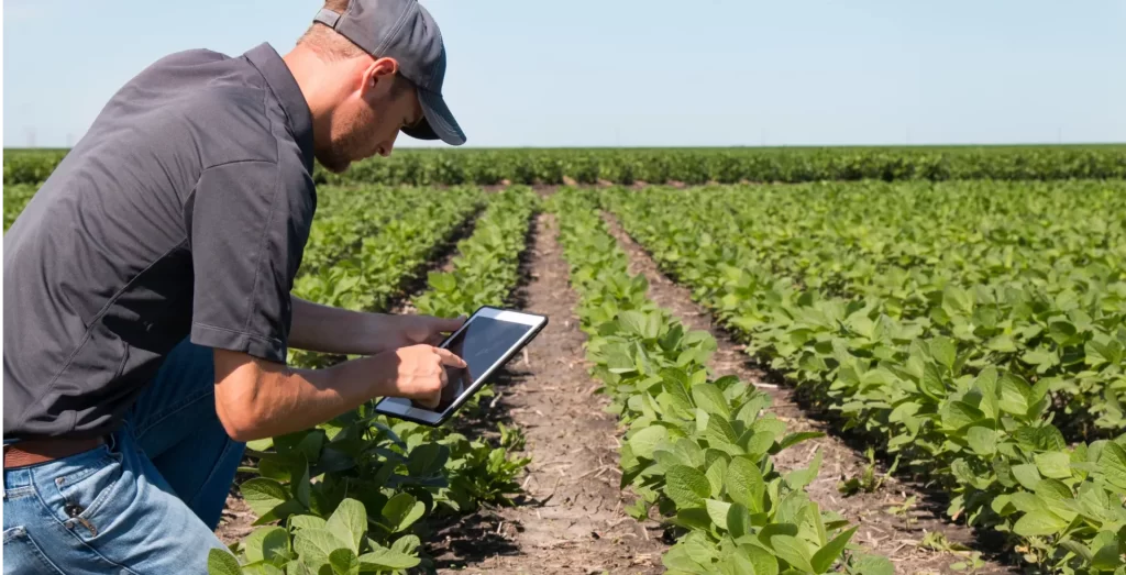 precision agriculture