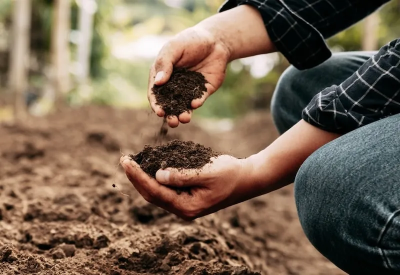 Soil Health